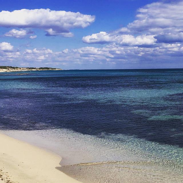 Apulian Wines and Seafood: Pairings That Truly Work