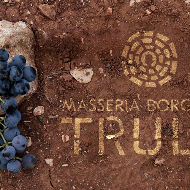 The Value of Terroir: Why Salento's Soils Make All the Difference