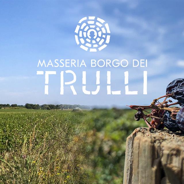 Wine Tourism in Puglia: Wineries, Vineyards, and Unforgettable Experiences