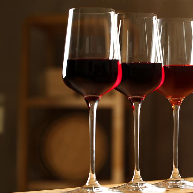 The Right Glass: How It Changes the Way You Taste Wine