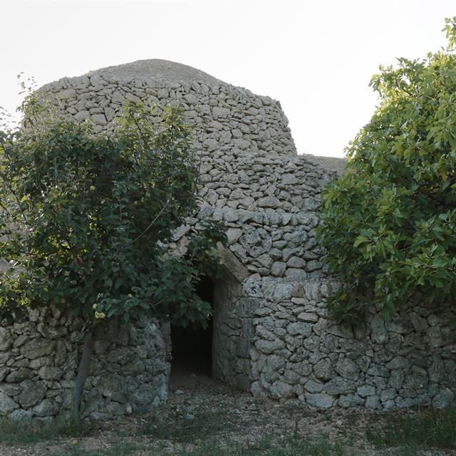 La storia del vino in Puglia: dalle origini ai giorni nostri