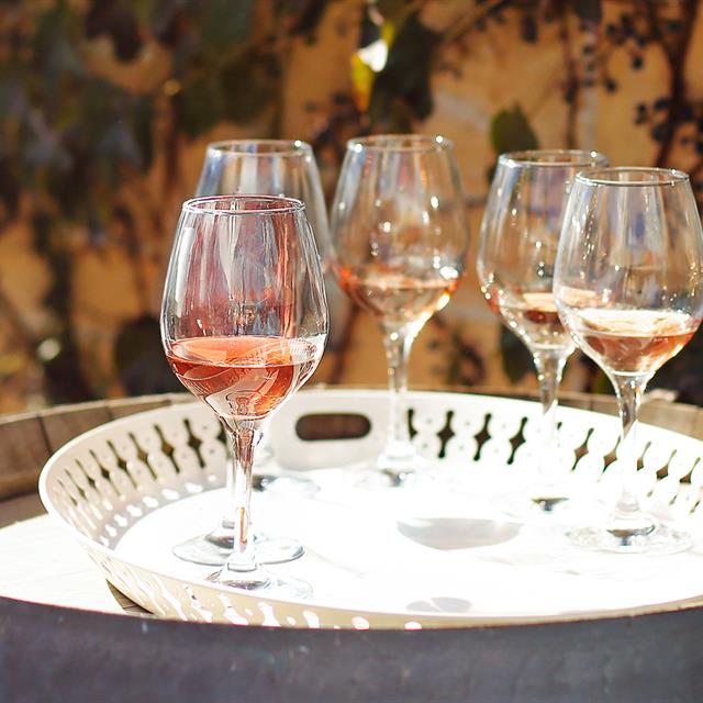 Rosé Wines from Salento: Freshness and Versatility at the Table