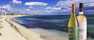 Vini pugliesi e cucina di mare: gli abbinamenti che funzionano davvero