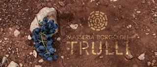 The Value of Terroir: Why Salento's Soils Make All the Difference