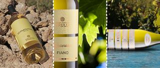 Tre vini bianchi pugliesi perfetti per l’estate (e non solo)