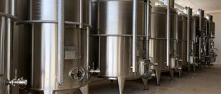 La magia della fermentazione: come nascono i profumi e gli aromi del vino