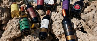 I vini pugliesi nel mondo: i mercati conquistati