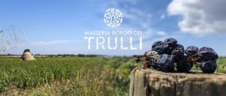 Enoturismo in puglia: cantine, vigneti ed esperienze da vivere