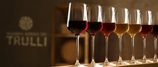 Il bicchiere giusto: come cambia l’assaggio del vino