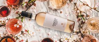 Vini pugliesi e stagioni, quale bottiglia scegliere in inverno, primavera, estate e autunno