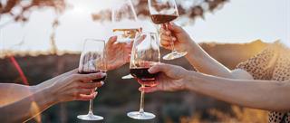 L’arte del brindisi e le tradizioni del vino in puglia