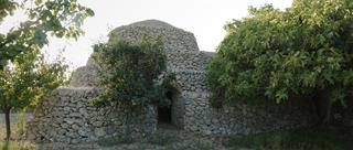The History of Wine in Puglia: From Its Origins to the Present Day