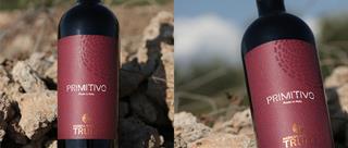 Primitivo del Salento: Characteristics, Pairings, and Curiosities