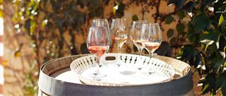 Rosé Wines from Salento: Freshness and Versatility at the Table